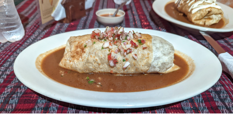 Burrito on a white place, covered in brown sauce. 