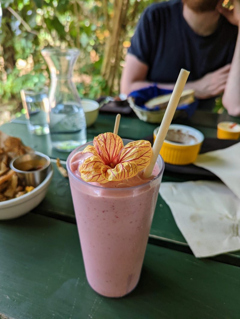 A pink smoothie with a flower on the top. 