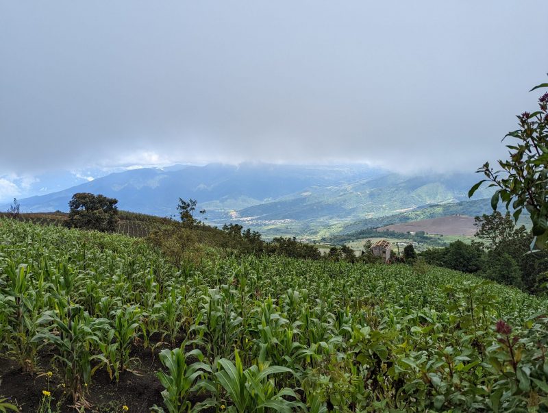 Cloudy sky with a view of the valley below. A field with crops is seen below.