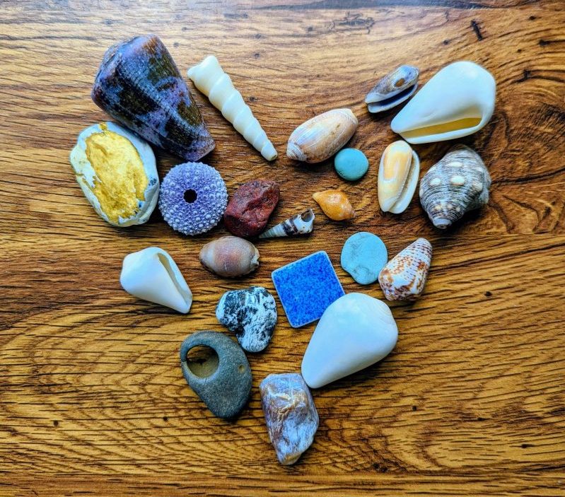 Seashells and rocks arranged in the shape of a heart.